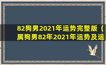 82狗男2021年运势完整版（属狗男82年2021年运势及运 🌷 程每月运程）